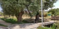 20180821_142832.jpg
