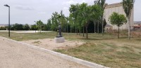 20200626_131231.jpg
