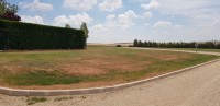 20200626_131235.jpg