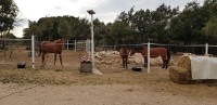 20200917_093359.jpg