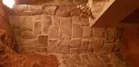 20201005_114605.jpg