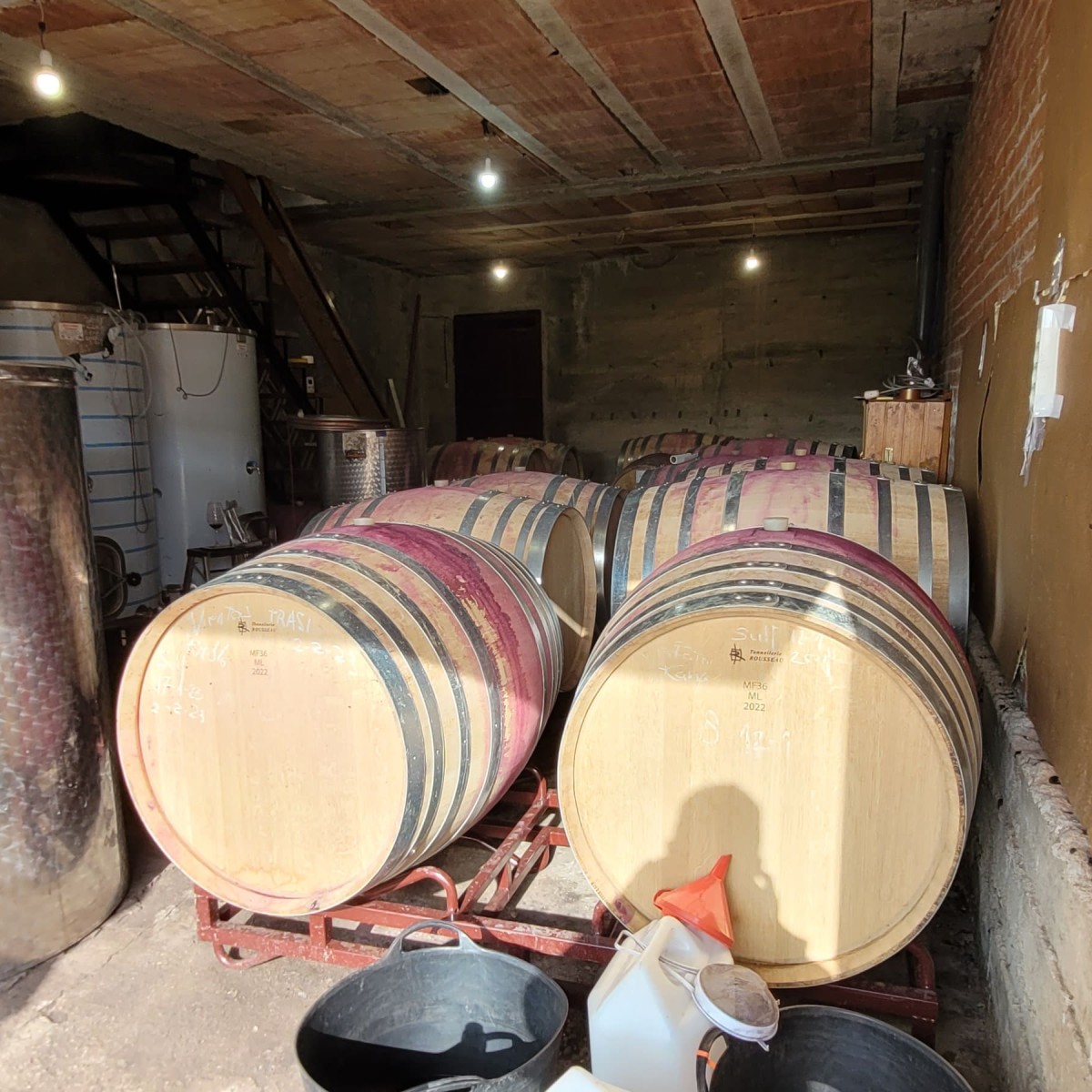 CREACIÓN Y AMPLIACIÓN DE BODEGA